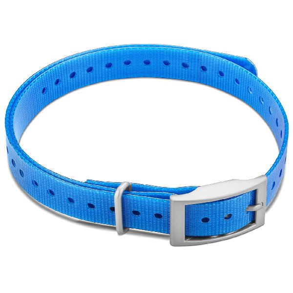 Collier pour Chien - Bleu 3/4" avec Boucle Carré