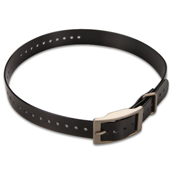 Dog Collar - Black 1"
