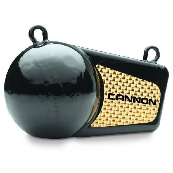 Poids Flash Cannon de 10 lbs
